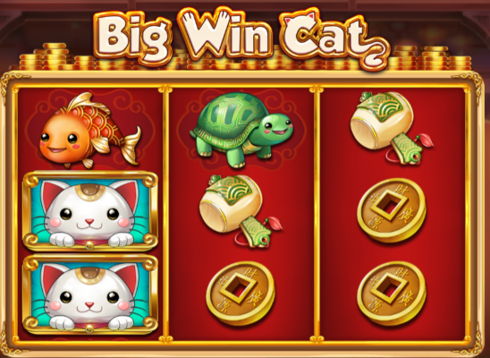 jackpot Big Win Cat